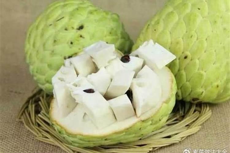 如何种植释迦果的基本方法