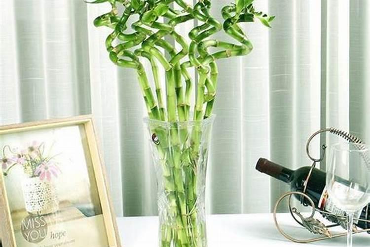 怎样种植西红柿口感好