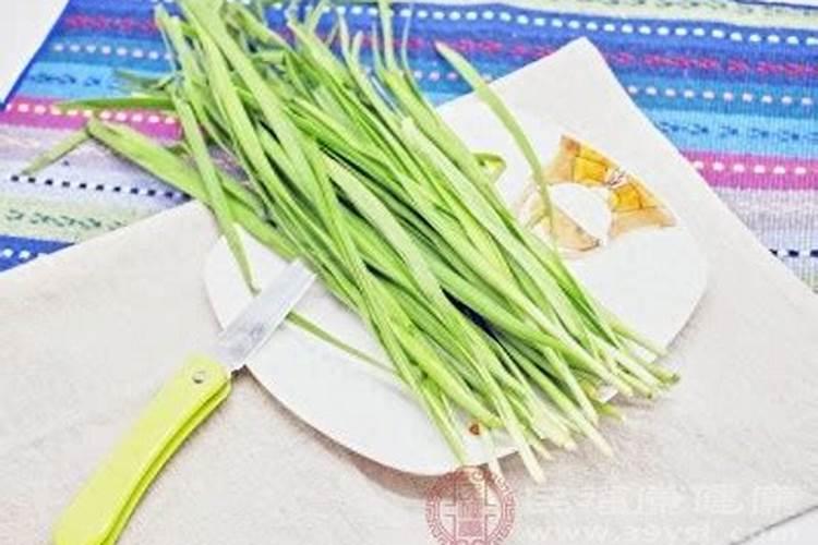 韭菜施什么肥料长得快