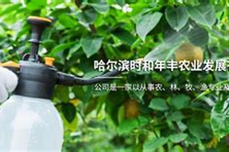 哈尔滨有化肥农药批发市场吗？或者什么大的公司？