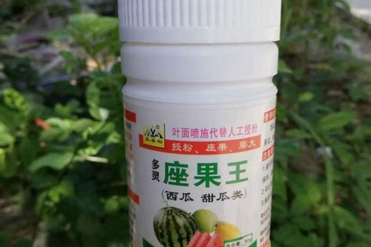 巨峰葡萄的保花保果技术