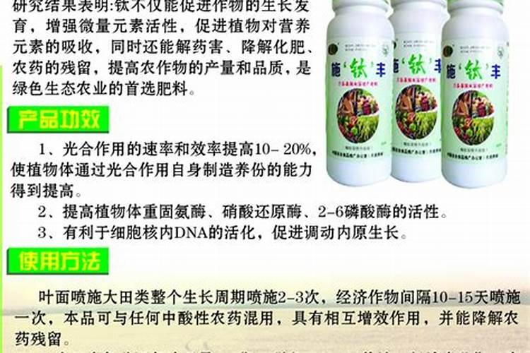 蒿子青蒿栽培技术要点