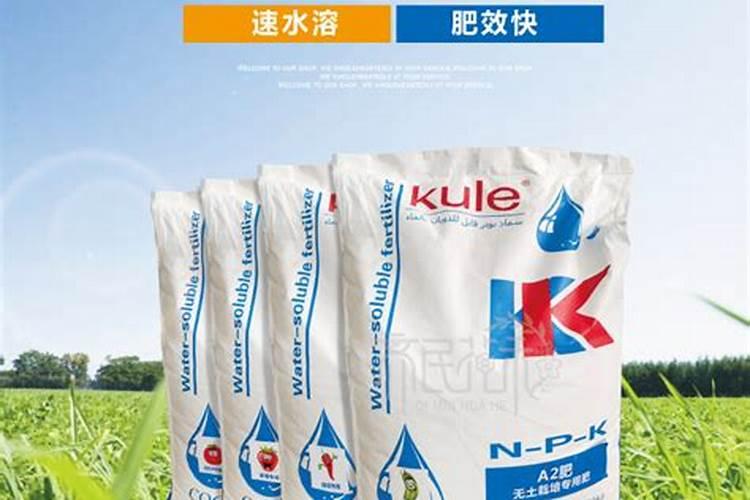 新鲜猪粪属于什么肥