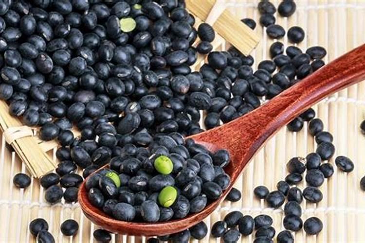 山药种植用什么肥料最科学