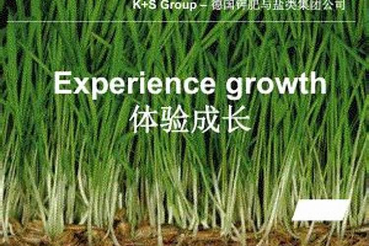国际钾肥价格形成机制？