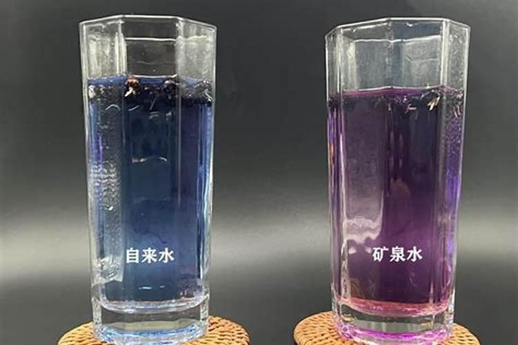 藕池上鸡粪水变色了怎么回事