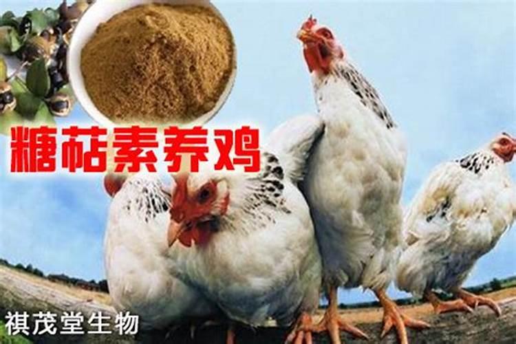 红糖叶面肥的绝密配方