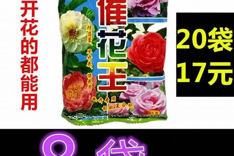若要进行催花,什么肥料最为适宜