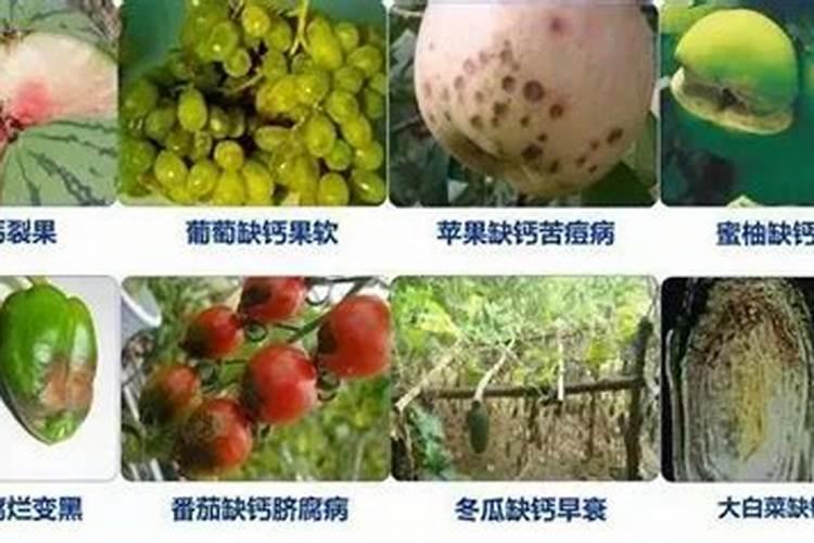 新洋丰锌磷美复合肥25一10一16可以做面肥吗？
