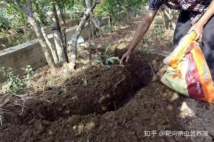 果树开花不结果用磷酸二氢钾？