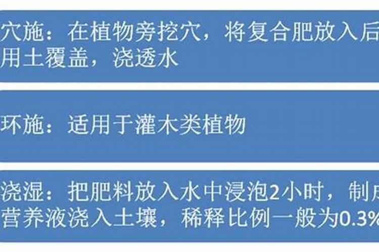 绿萝用什么肥料好