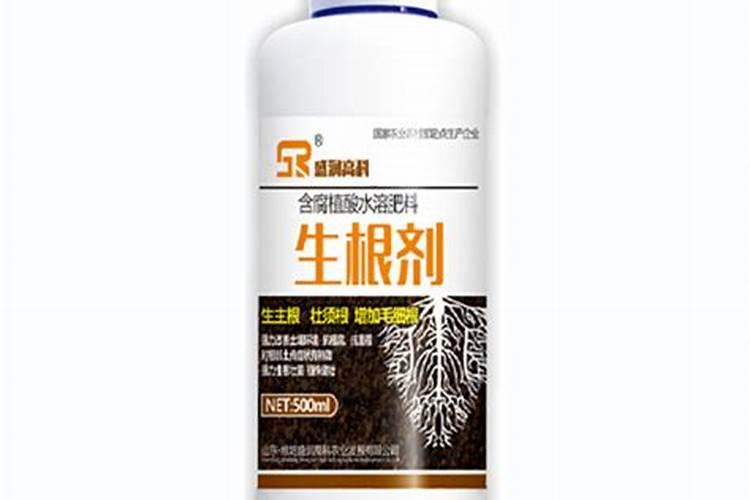 兰草用什么肥最好