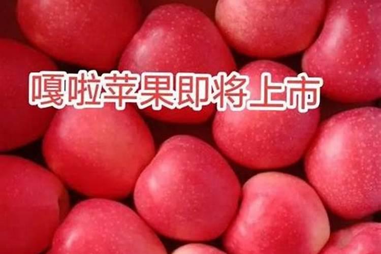 苹果树6月份施什么肥