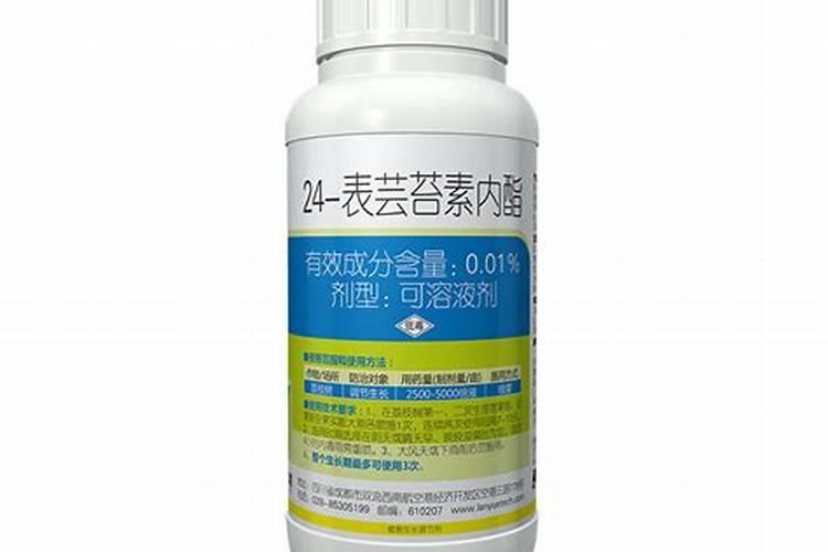 水稻硼肥的作用及使用方法