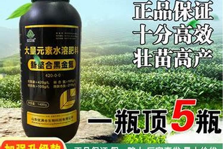 水溶肥料怎么使用
