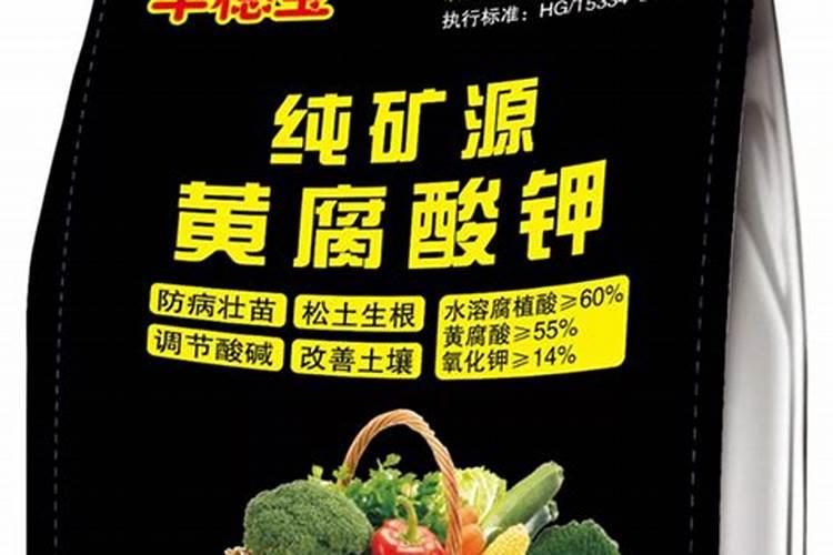 月季花苞期施什么肥 注意事项有哪些