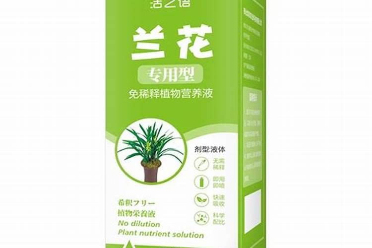 五月份养护兰花都有哪些养护要点