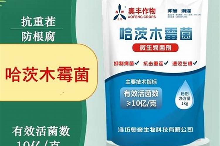 艾斯尼拉水溶肥好用吗