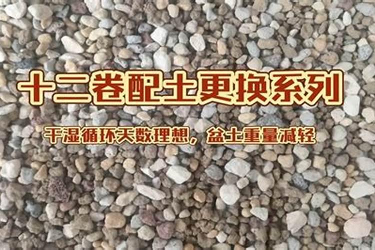 如何正确施用玉米缓控释肥