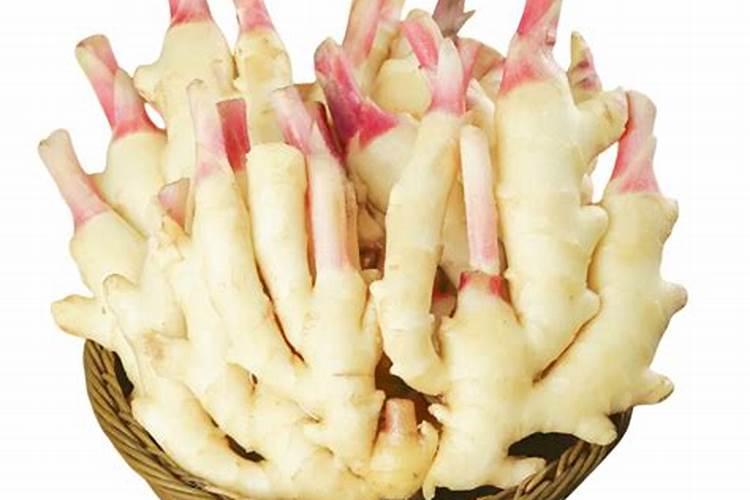 豆角干叶卷叶原因与补救方法(豆角卷叶可以用农家肥吗)