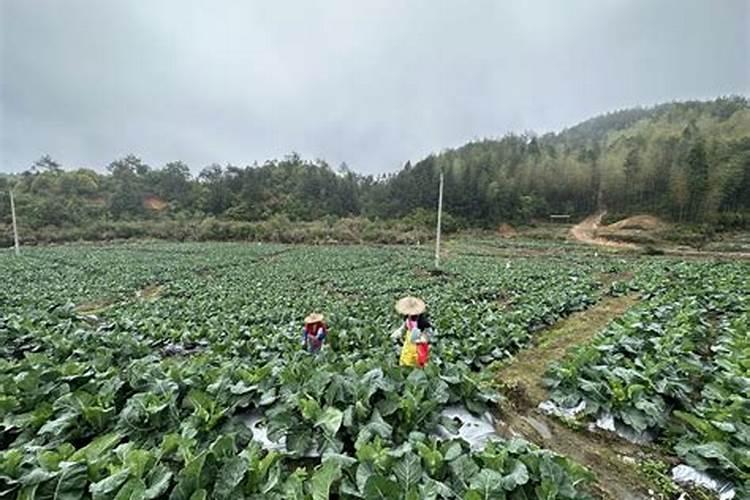 山东金圣生物科技有限公司怎么样？