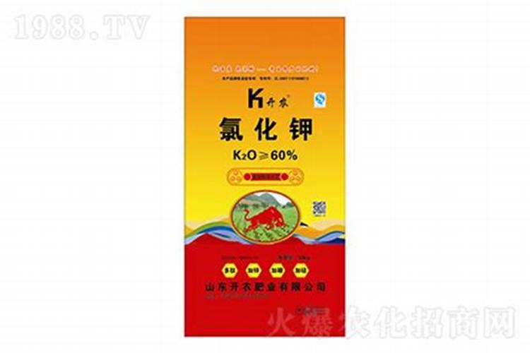 架豆王怎么种植管理 架豆如何种植管理