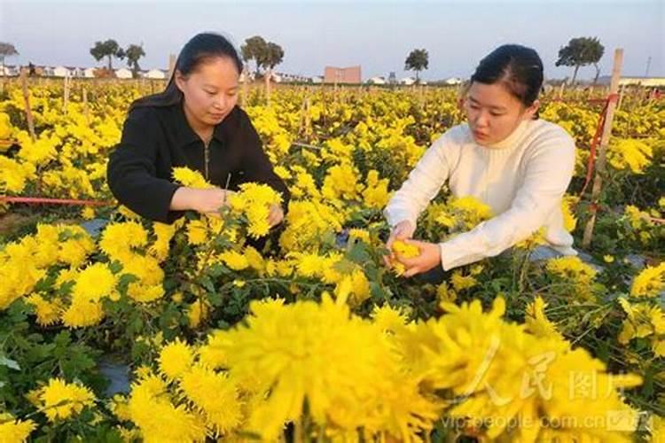 ...农业生产用肥？什么养花专用营养液这买不到哦!