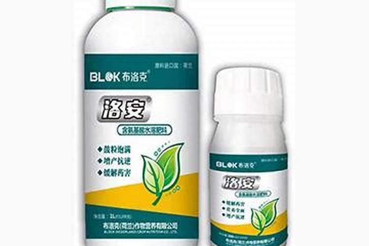 黄瓜打蔫,怎么回事啊