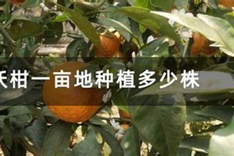 石灰性土壤铵态氮肥利用率低的原因