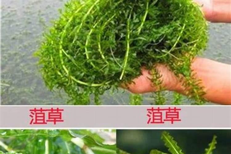 水溶肥,含量配比怎么计算,,,如201030怎么配
