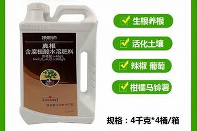 鱼塘水发黑怎么才能让水变清