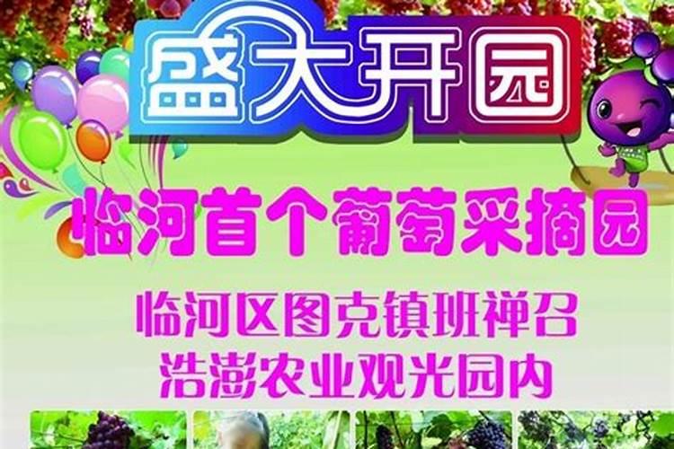 同里门票价格是多少钱？