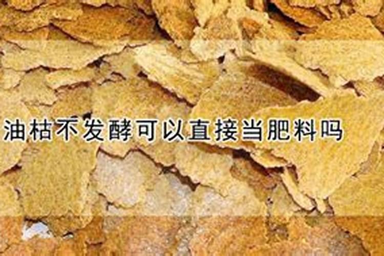 油枯不发酵可以直接当肥料吗