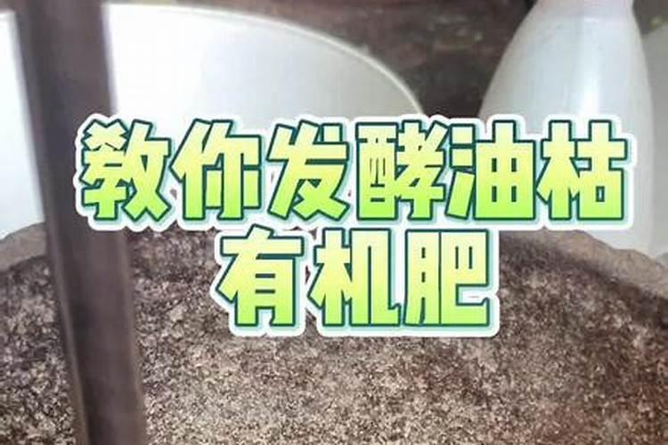 柚子树膨果专用肥是什么肥料？施肥的时间是什么时候？