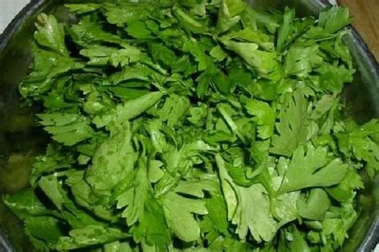 玉米施追肥用硫酸锌铵好吗？
