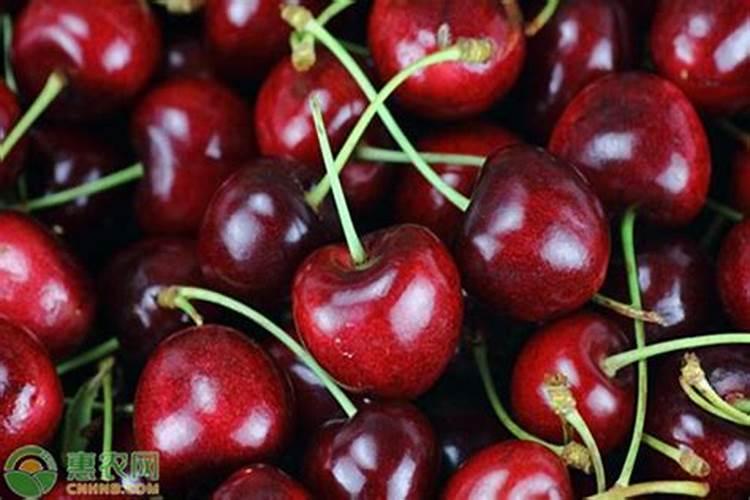 老师樱桃树每年每亩施肥施大概多钱