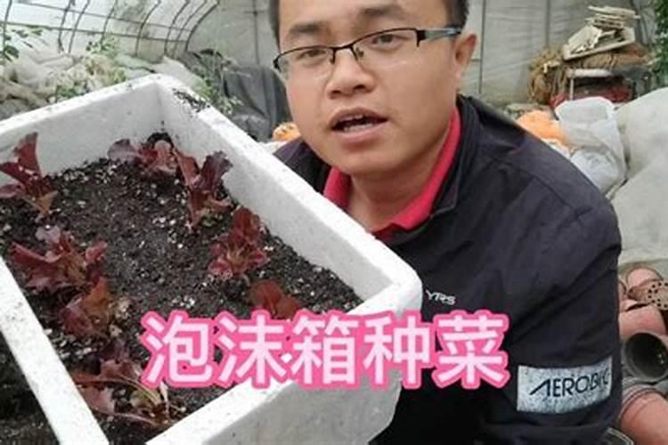 钾肥有哪些