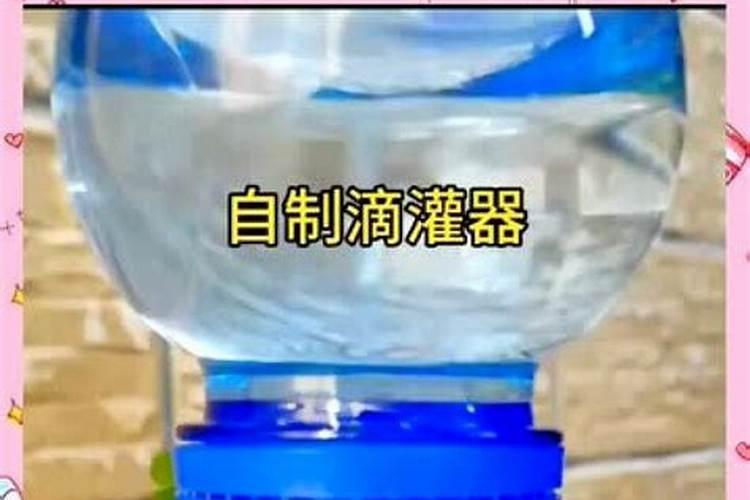 营养液的正确使用方法浇花