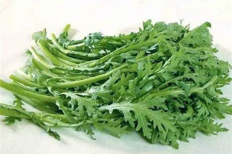 茼蒿菜的种植方法和管理