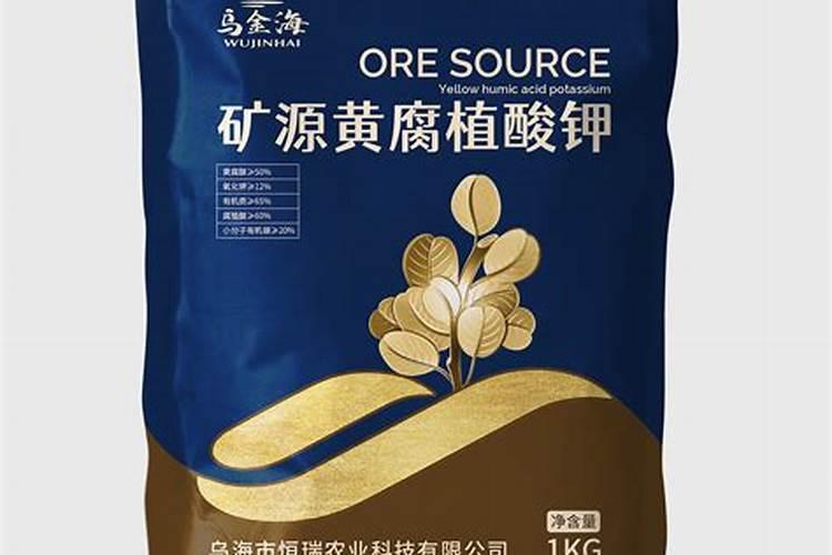 请教养兰高手用做君子兰肥料的(麻子)是蓖麻子吗