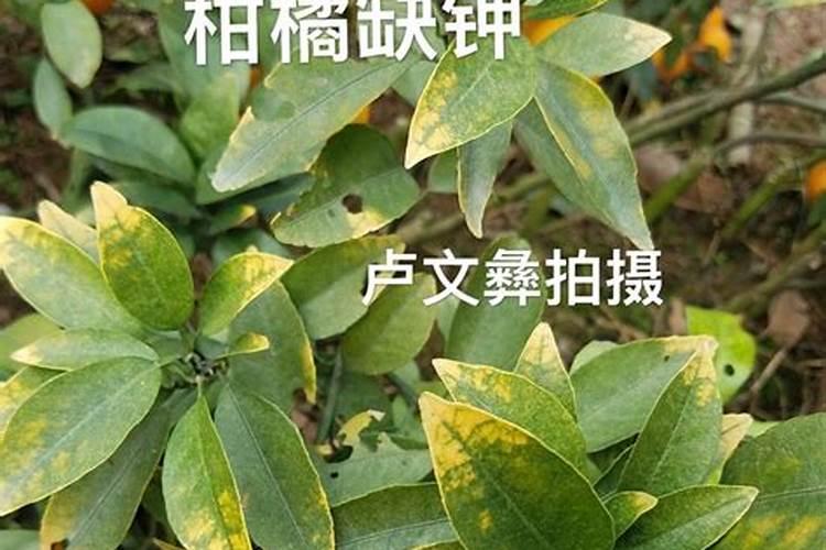 工业生产氮肥的方法