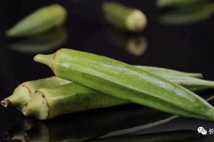 蔬菜育苗盘育苗方法