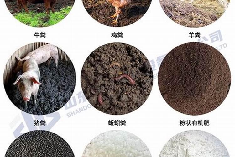 什么是菌肥？