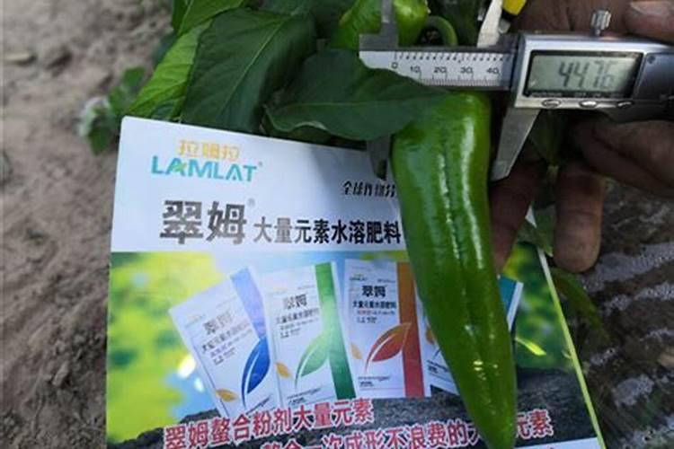 美孚润滑油官方价格比普通代理店贵,为什么？