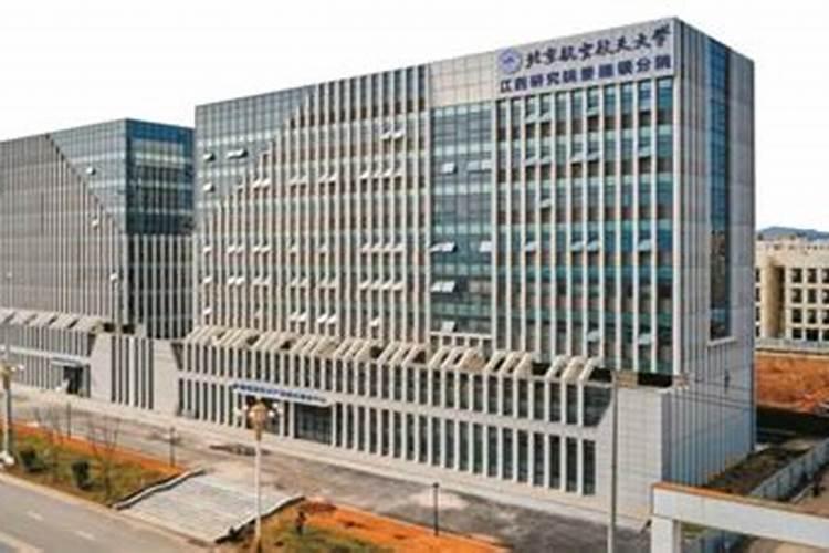这两个植物叫什么名字？