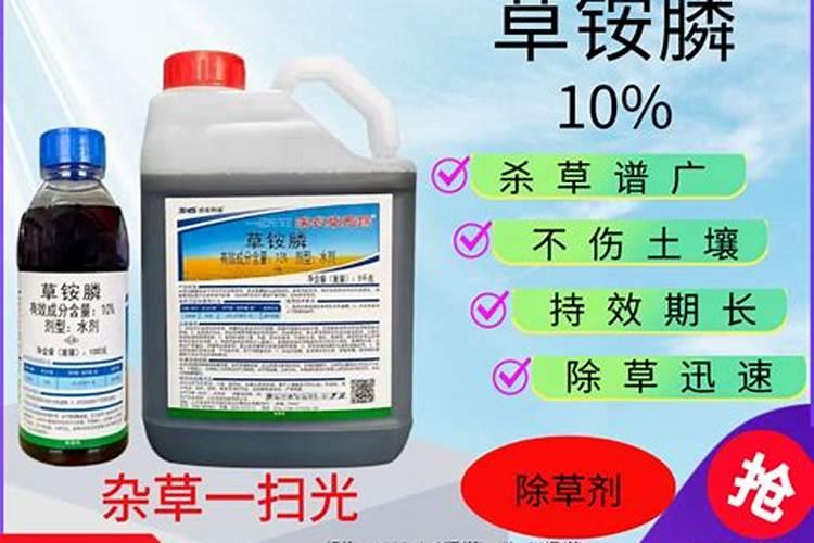 沙糖桔已结果,可以打除草剂吗
