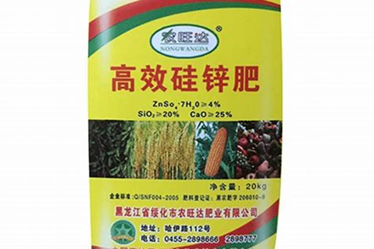 盆栽荷花的养殖方法和注意事项
