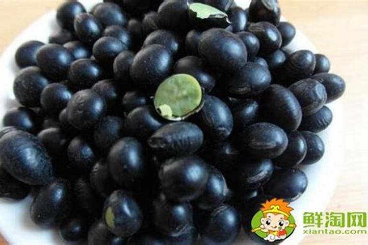 在北方种芸豆施什么肥对作物好
