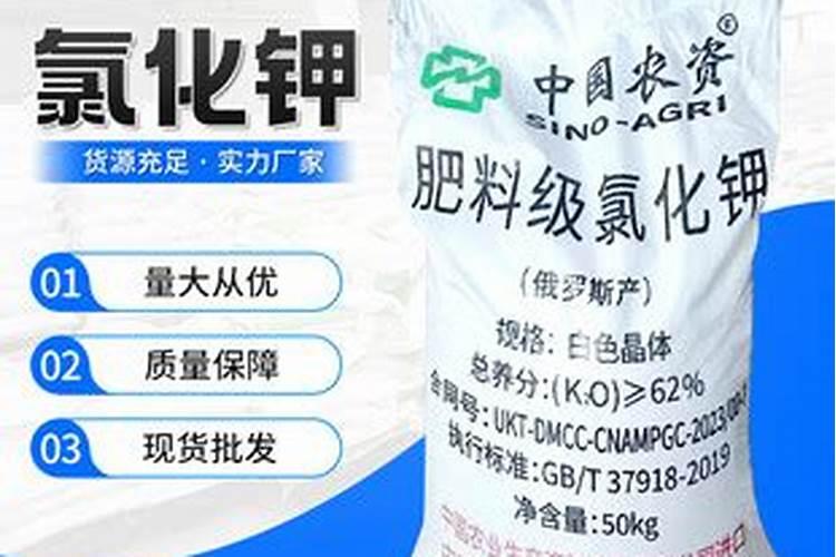 石灰乳是什么东西？干嘛用滴