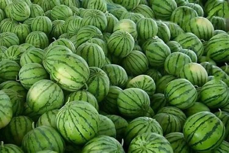 一颗西瓜放多少钾